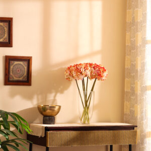 Professional Product Photographer in Delhi